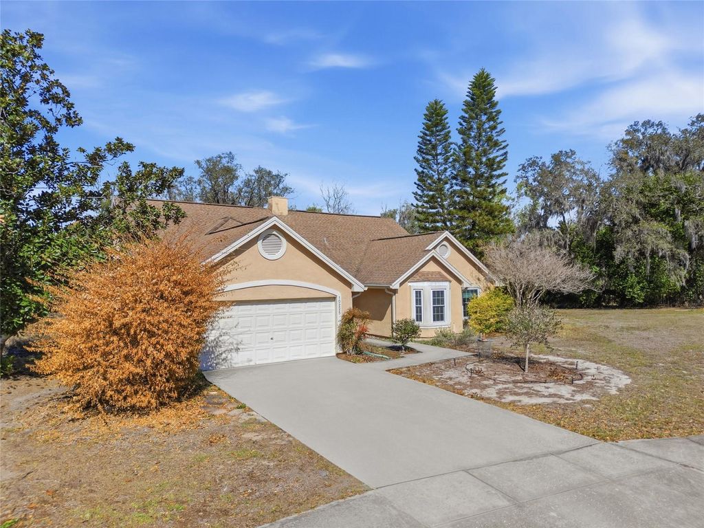 Photo of 10225 Evening Trail Drive, Riverview, FL 33569 (MLS # O6384758)