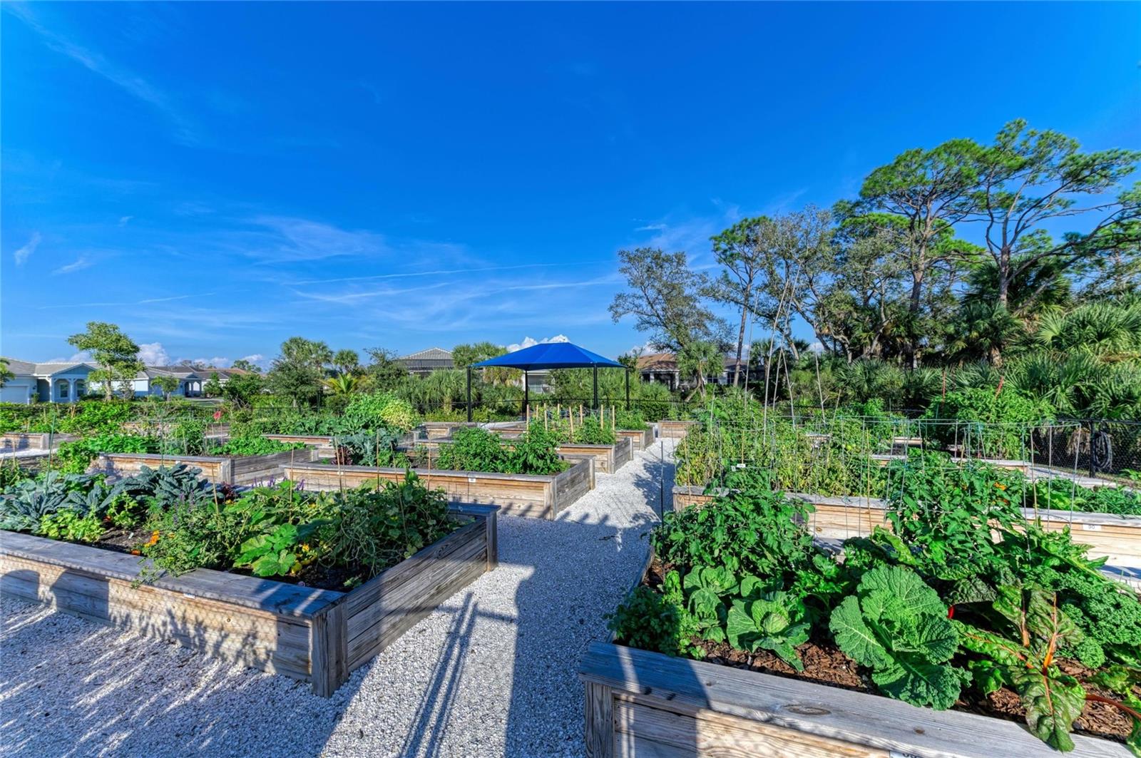 BEACHWALK BY MANASOTA KEY PH II - Residential