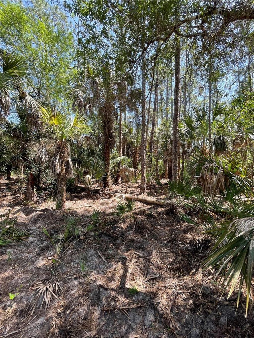 Photo of 49765 Bermont Road, Punta Gorda, FL 33982 (MLS # C7520108)