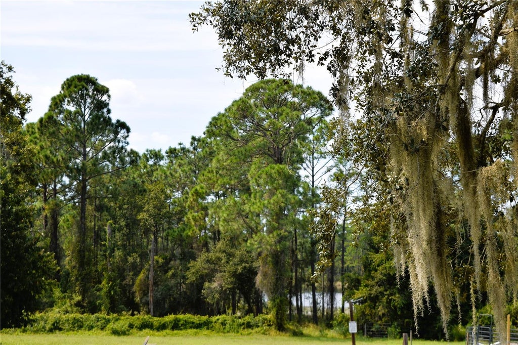 Photo of 625 Lake Butler Avenue, Osteen, FL 32764 (MLS # V4951600)