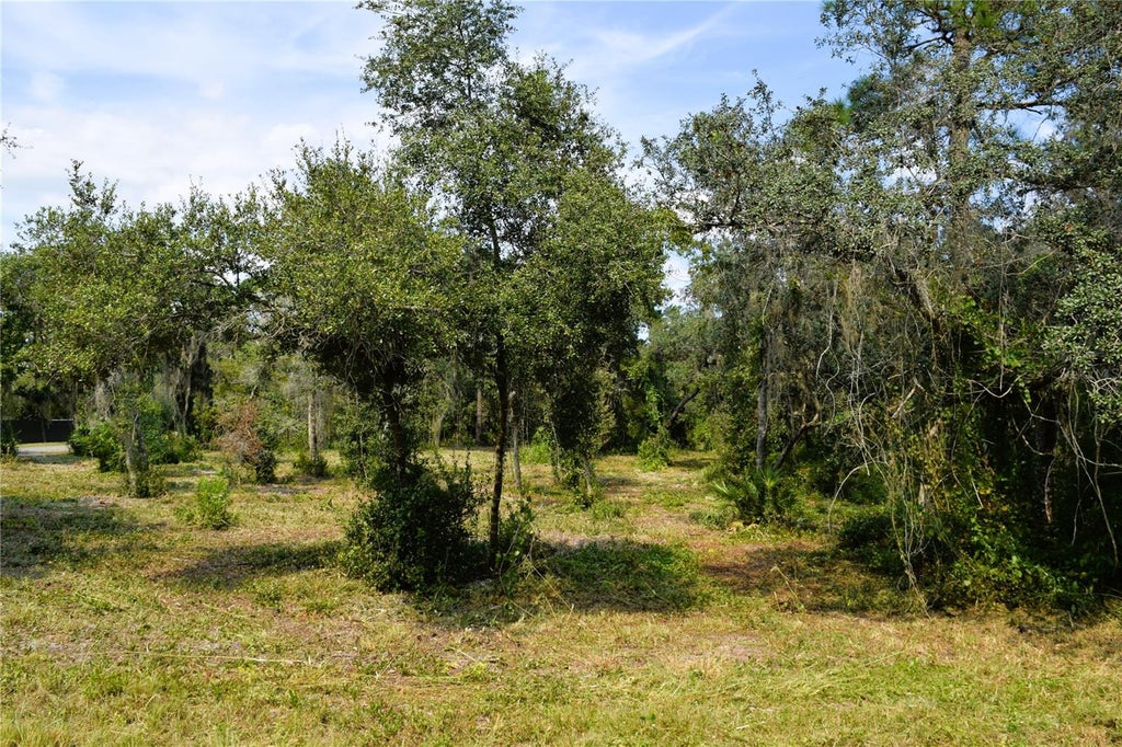 Photo of 625 Lake Butler Avenue, Osteen, FL 32764 (MLS # V4951600)