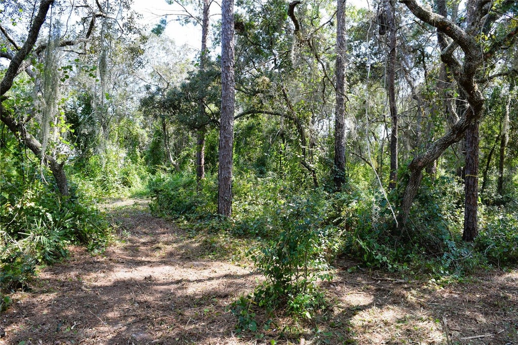 Photo of 625 Lake Butler Avenue, Osteen, FL 32764 (MLS # V4951600)