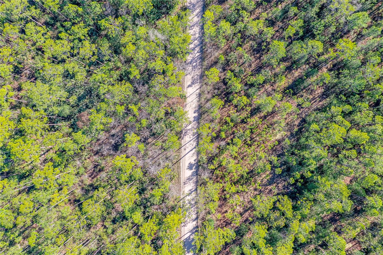 HOWE & CURRIERS ALLOTMENT - Land