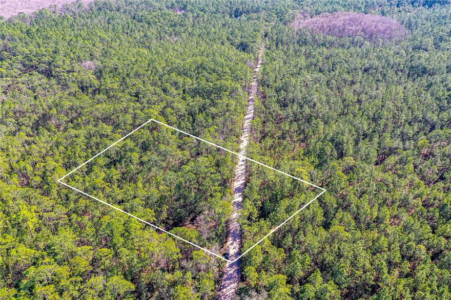 Discover a Rare Opportunity to own 2.5 acres in New Smyrna Beach. Nestled in the highly sought-after Samsula neighborhood, this 2.5-acre property offers a perfect blend of privacy, tranquility, and endless potential. Divided by Samsula Dr., the land is thoughtfully split into two distinct areas, each offering unique possibilities. On the west side of the road, you'll find roughly half an acre, while the east side of the road spans nearly 2 acres. This prime land offers plenty of space, while still being just minutes away from all the attractions and amenities that New Smyrna Beach has to offer. The buyer is encouraged to verify all details and conduct due diligence regarding building and zoning requirements. If you're looking to create a peaceful sanctuary, this parcel provides an exceptional opportunity in one of New Smyrna Beach’s most desirable neighborhoods. Don't miss out on the chance to make this property your own and turn your vision into reality!