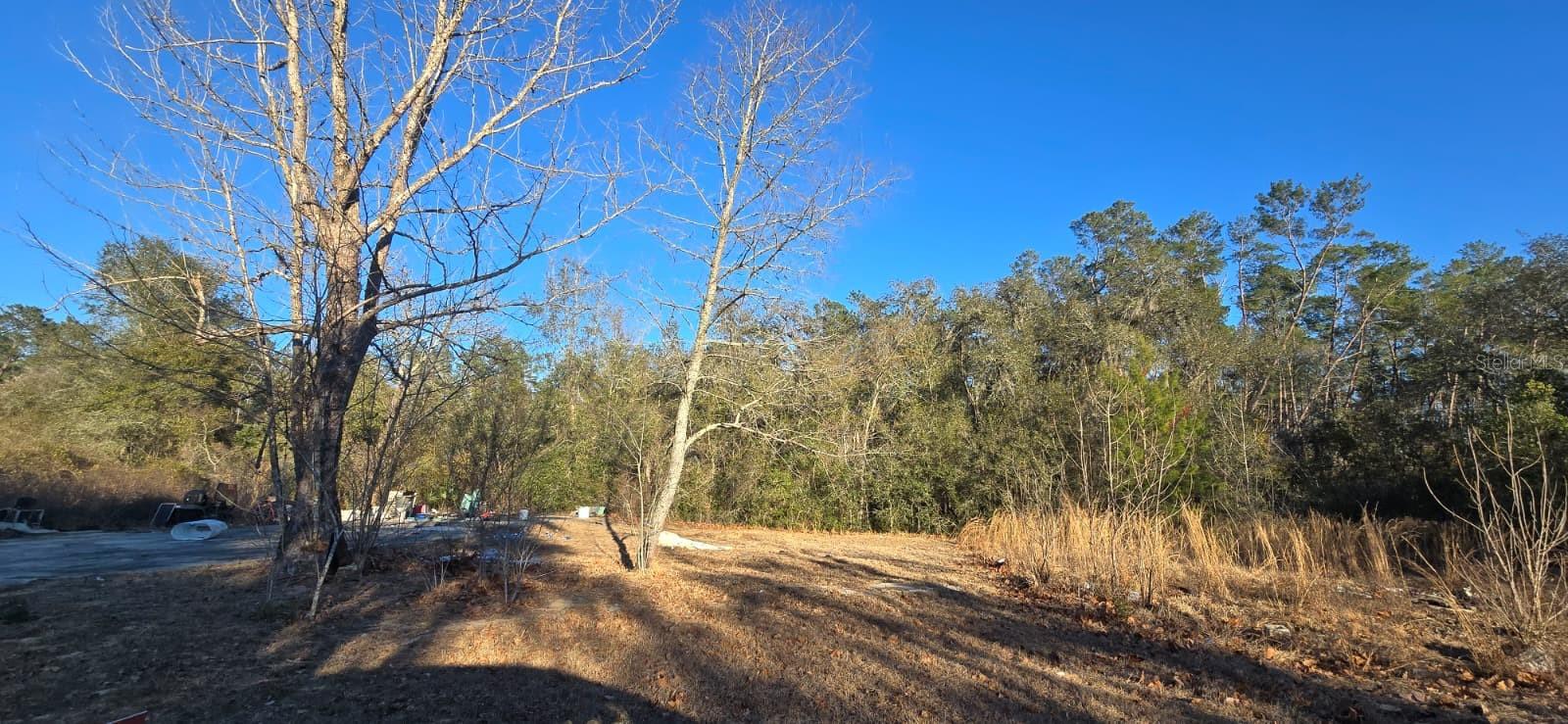 14175 SE 209TH TERRACE