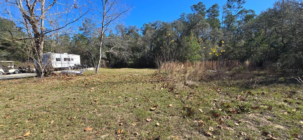 Photo of 14157 SE 209th Terrace, Umatilla, FL 32784 (MLS # G5105430)