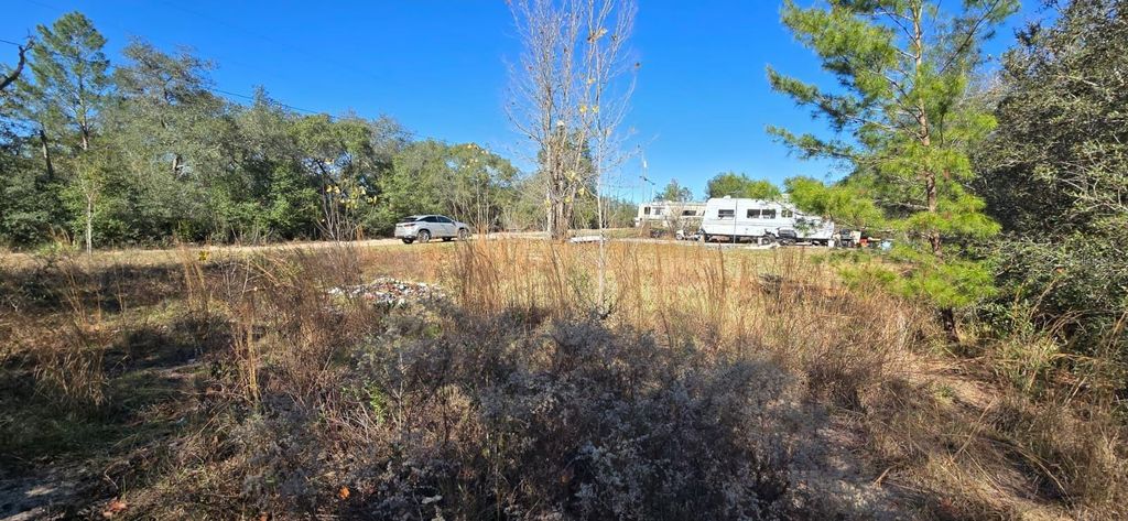 Photo of 14157 SE 209th Terrace, Umatilla, FL 32784 (MLS # G5105430)