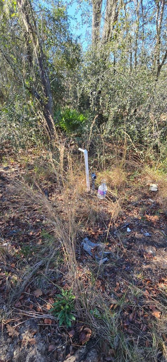 14175 SE 209TH TERRACE