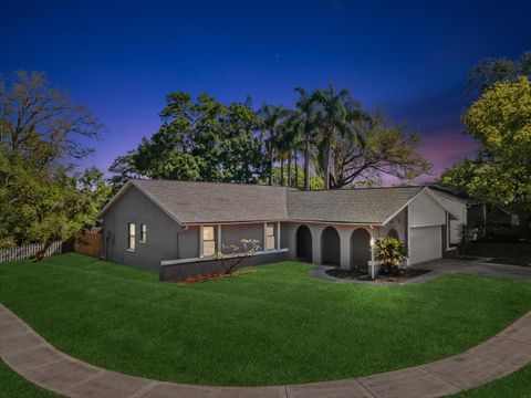 A home in PALM HARBOR