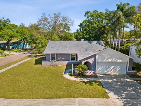 A home in PALM HARBOR