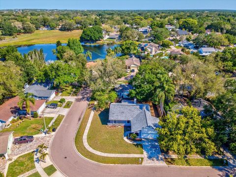 A home in PALM HARBOR