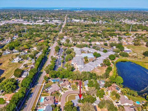 A home in PALM HARBOR