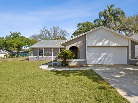 A home in PALM HARBOR