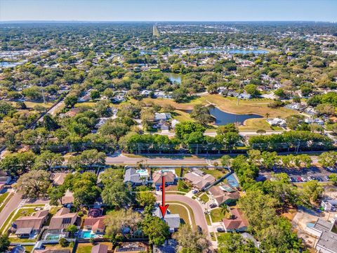 A home in PALM HARBOR