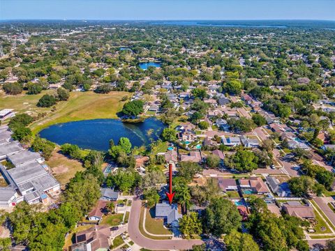 A home in PALM HARBOR