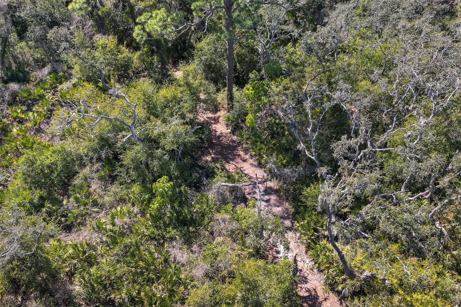 PELICAN COVE XVI - Residential