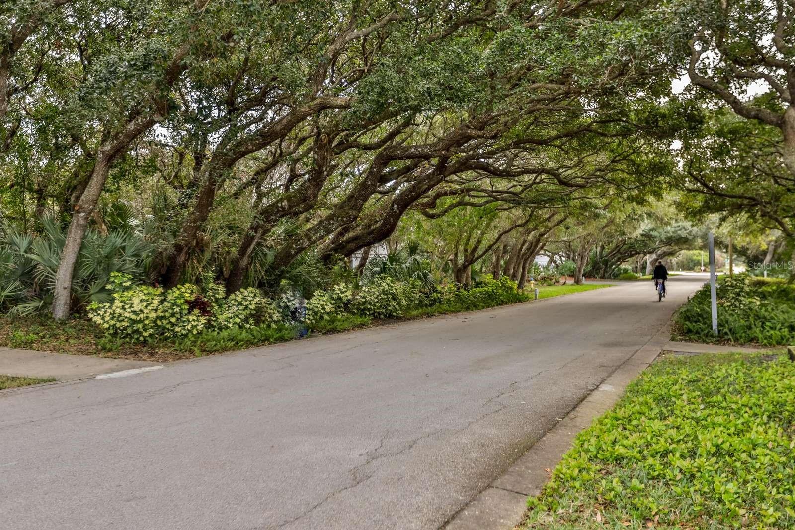 SEA MIST CONDO - Residential