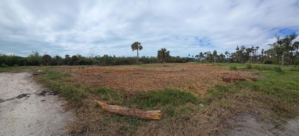 Photo of 9491 Downing Street, Englewood, FL 34224 (MLS # D6146544)