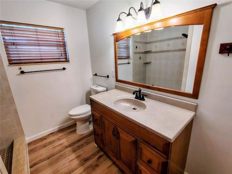 Tiny photo for 1240 Cr 463, Lake Panasoffkee, FL 33538 (MLS # G5114327)