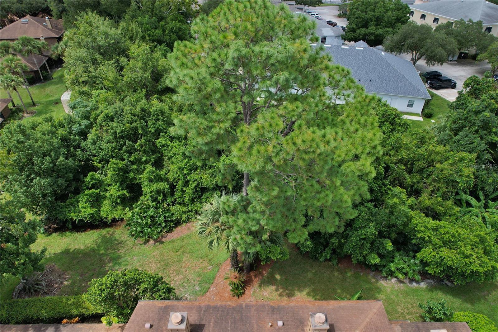 GREENWOOD LAKES UNIT 8 - Residential