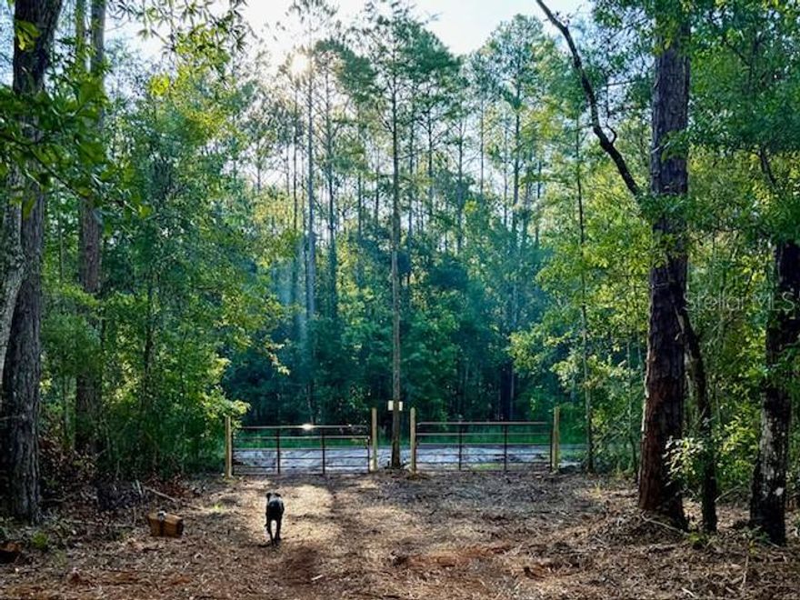 Escape to peaceful country living at 10535 Flikkema Ave— in Flagler Estates. The owner is also selling 10530 Gregory Ave, both properties together, creating an ideal setup for a spacious rural homesite, multi-family living, or future investment.

This ready for your home or future build. You’ll enter through a double gate onto a wide 30-foot milled driveway, perfect for large vehicles, trailers, or equipment. The culvert has already been installed by the township, and the mailbox is in place for immediate use. The property includes three 250-gallon water buffalos with low-cost refill service available, along with a mulched yard, four pallets of sod, and a sand/dirt mound ready for future projects. Most of the lot has been cleared while preserving approximately 50 feet on each side and the back portion for added privacy. Electric service is available at the road, making this an easy spot to start your rural lifestyle.

The adjoining parcel at 10530 Gregory Ave provides an additional 1.14 acres, offering extra space, privacy, or the perfect location for a second homesite. Together, these two lots offer the freedom and flexibility that Flagler Estates is known for—bring your animals, equipment, and dreams to this move-in-ready country retreat.