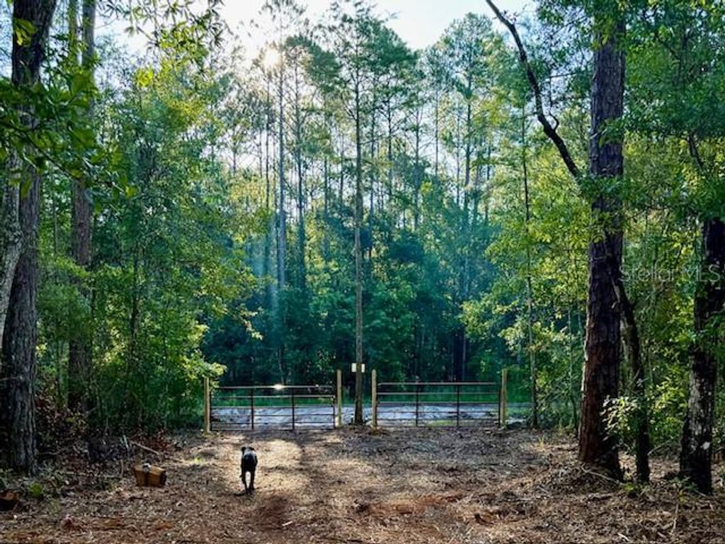 Photo of 10535 Flikkema Ave, Hastings, FL 32145 (MLS # FC314540)