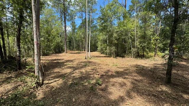 FLAGLER ESTATES - Land