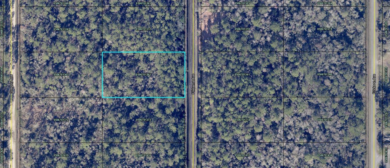 FLAGLER ESTATES - Land