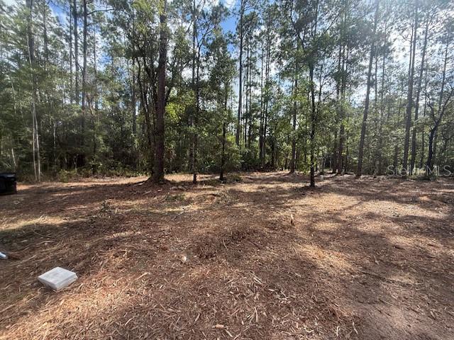 FLAGLER ESTATES - Land