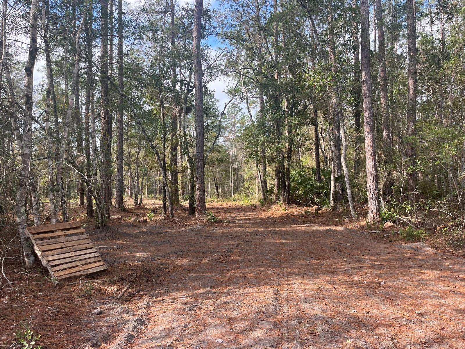 FLAGLER ESTATES - Land