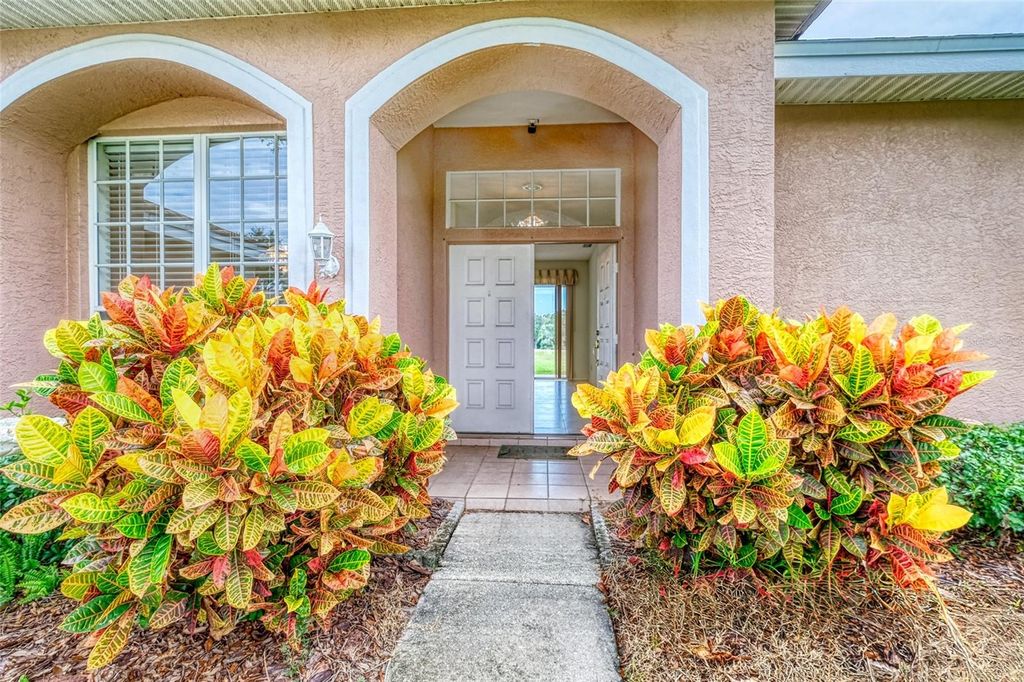 Photo of 1775 Barn Owl Way, Palm Harbor, FL 34683 (MLS # TB8425334)