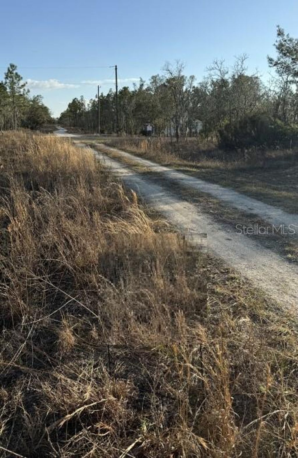 Photo of 0 NE 151st Avenue, Williston, FL 32696 (MLS # A4684375)