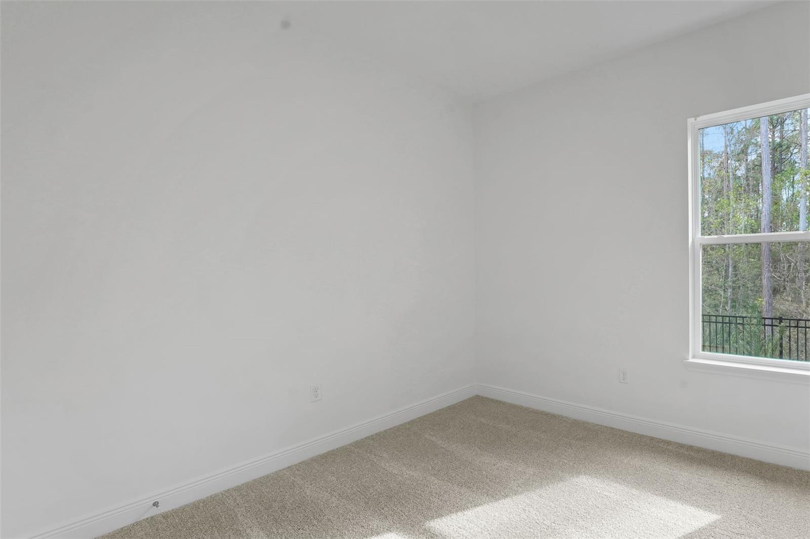 PALMS AT WINDERMERE - Residential