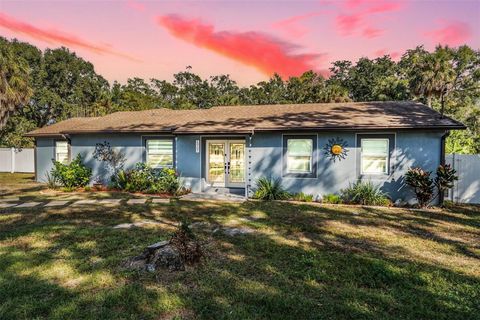 Photo of 6907 W Creek Drive, Tampa, FL 33615 (MLS # TB8457045)
