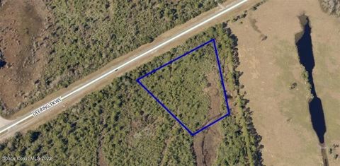 DEERING PARKWAY MIMS FL 32754