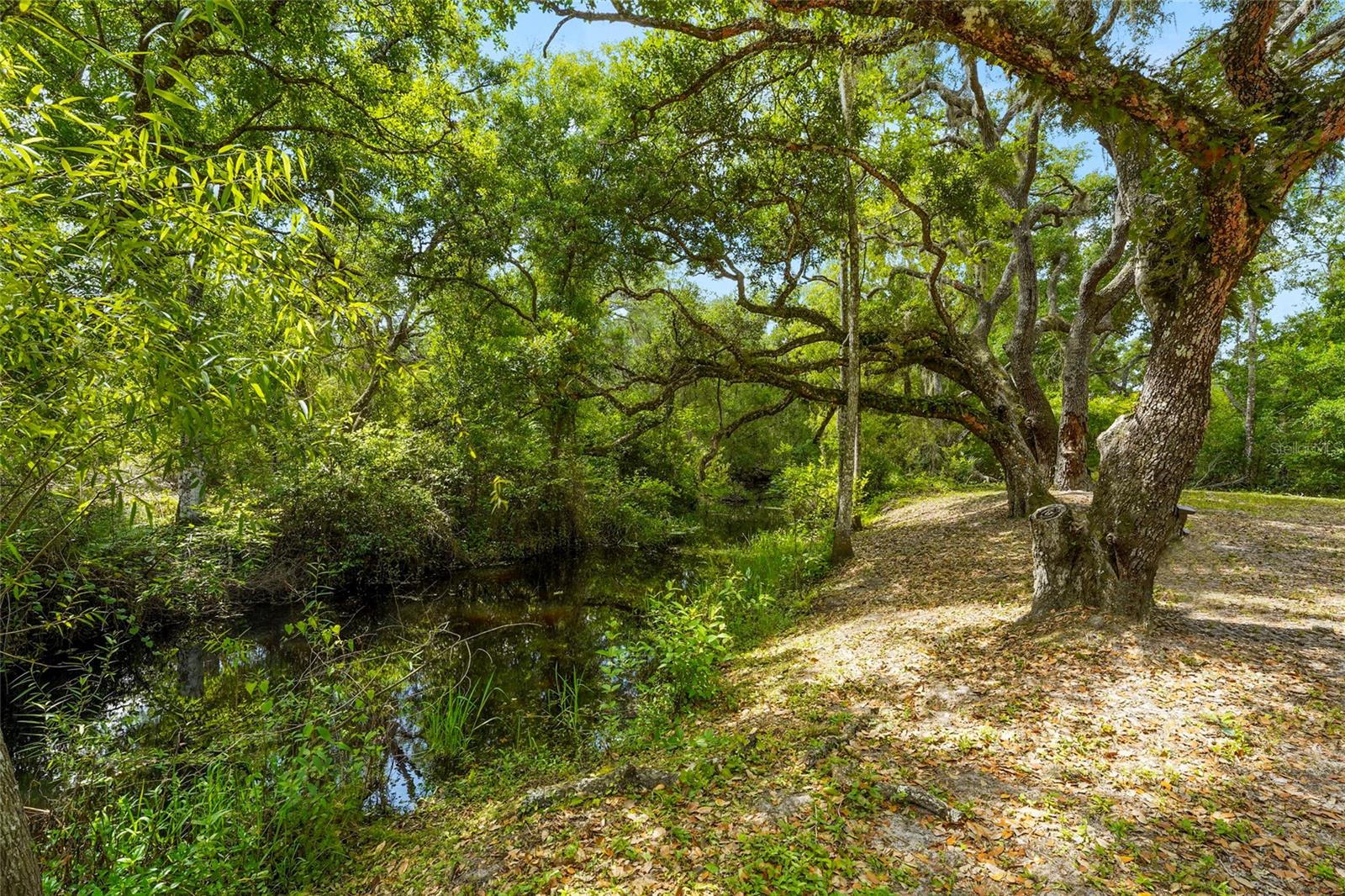 COUNTRY BROOKE ESTATES - Residential