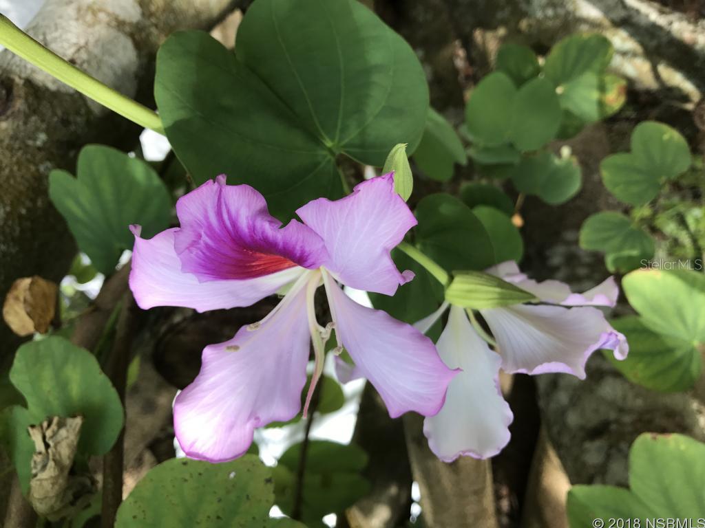 Corbin Park Unit 03 - Land