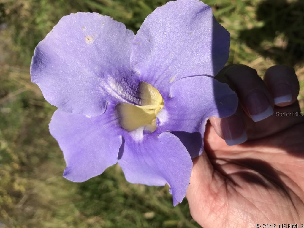 Corbin Park Unit 03 - Land