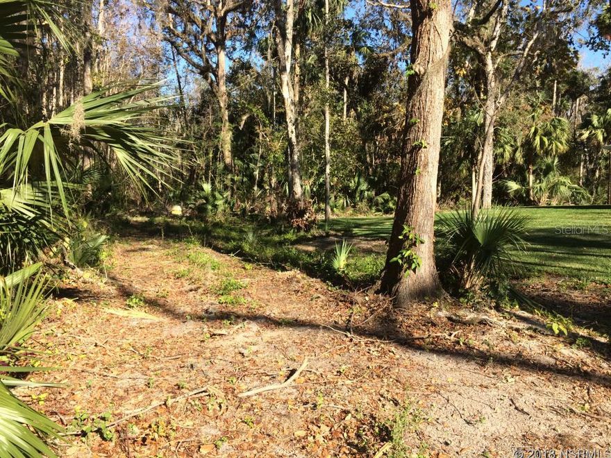 Beautiful wooded lot on Juanita Dr. Build your retirement home.  Quiet dead end street.  New homes in the neighborhood.  Close to shopping and the beach.  Bring your boat and toys.; Cleared: No