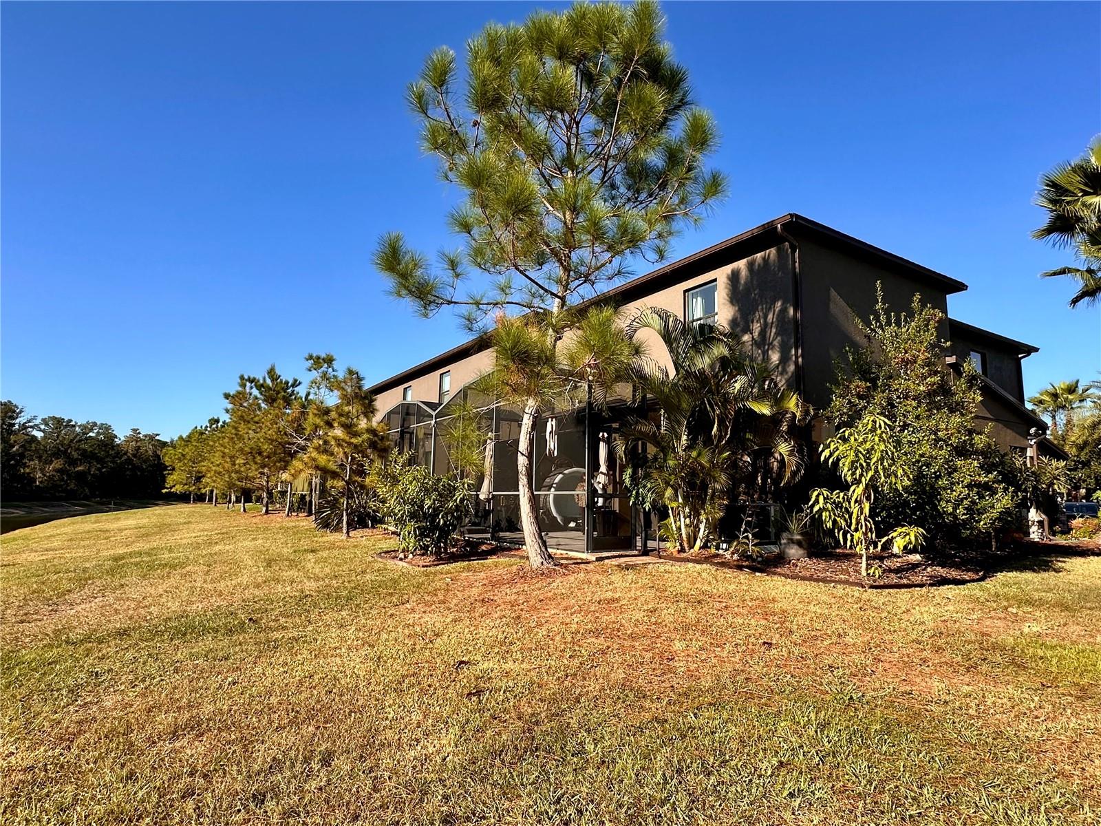 ARBORS/WIREGRASS RANCH - Residential