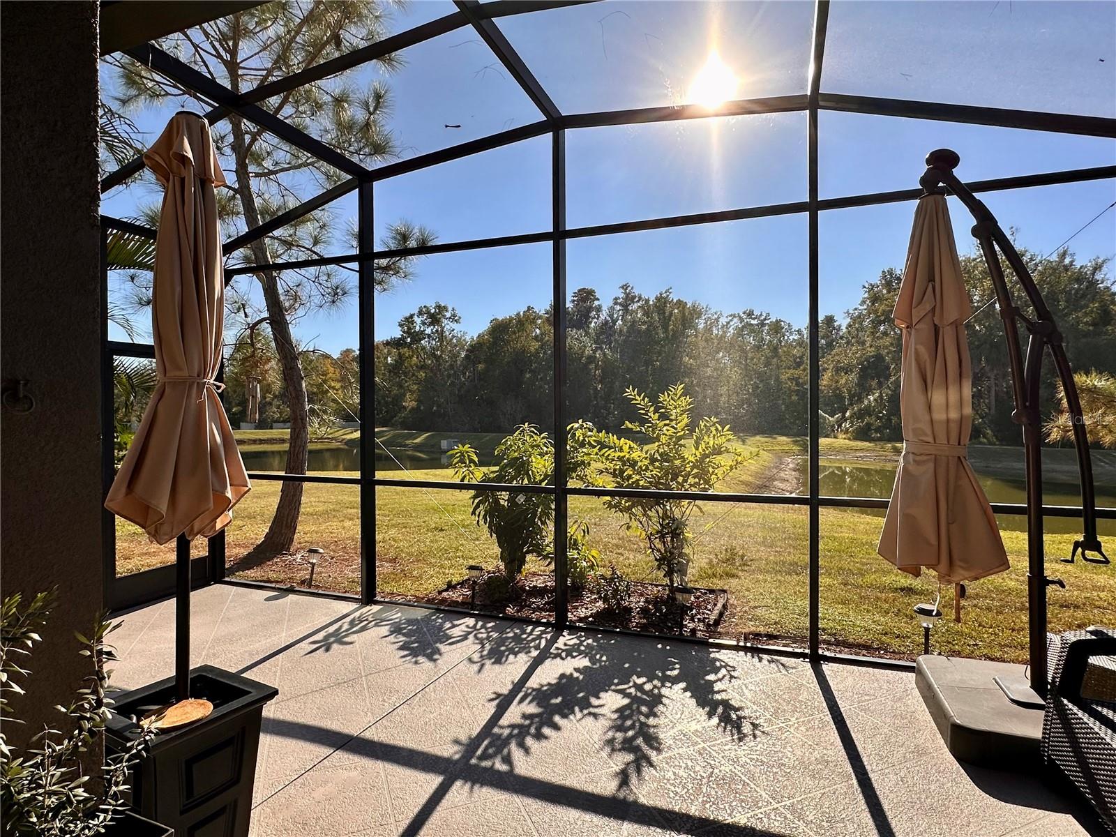 ARBORS/WIREGRASS RANCH - Residential