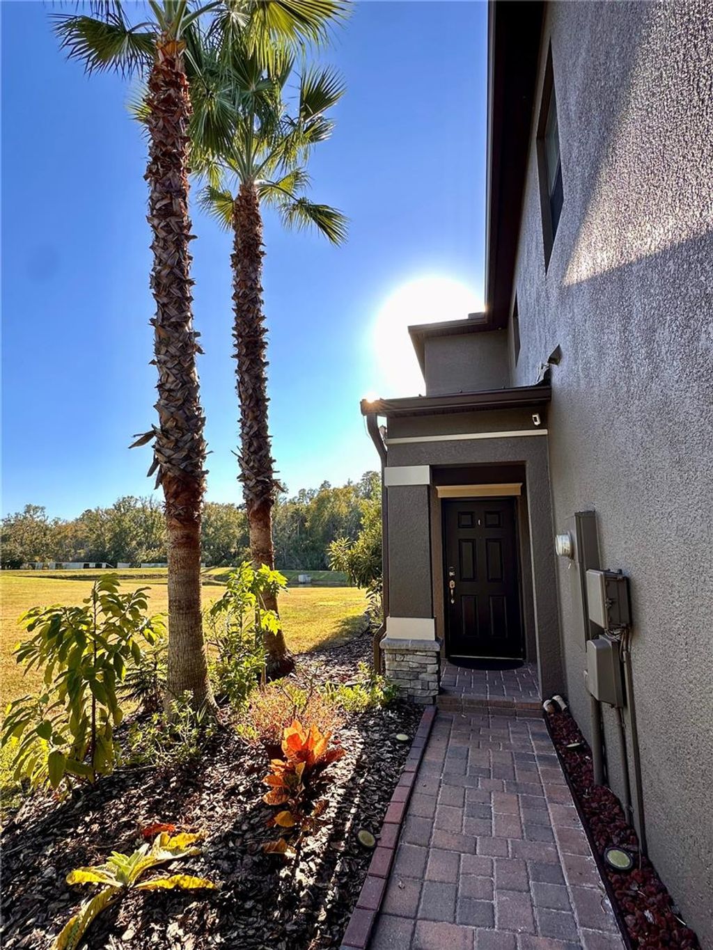 Photo of 28450 Tranquil Lake Circle, Wesley Chapel, FL 33543 (MLS # TB8457370)