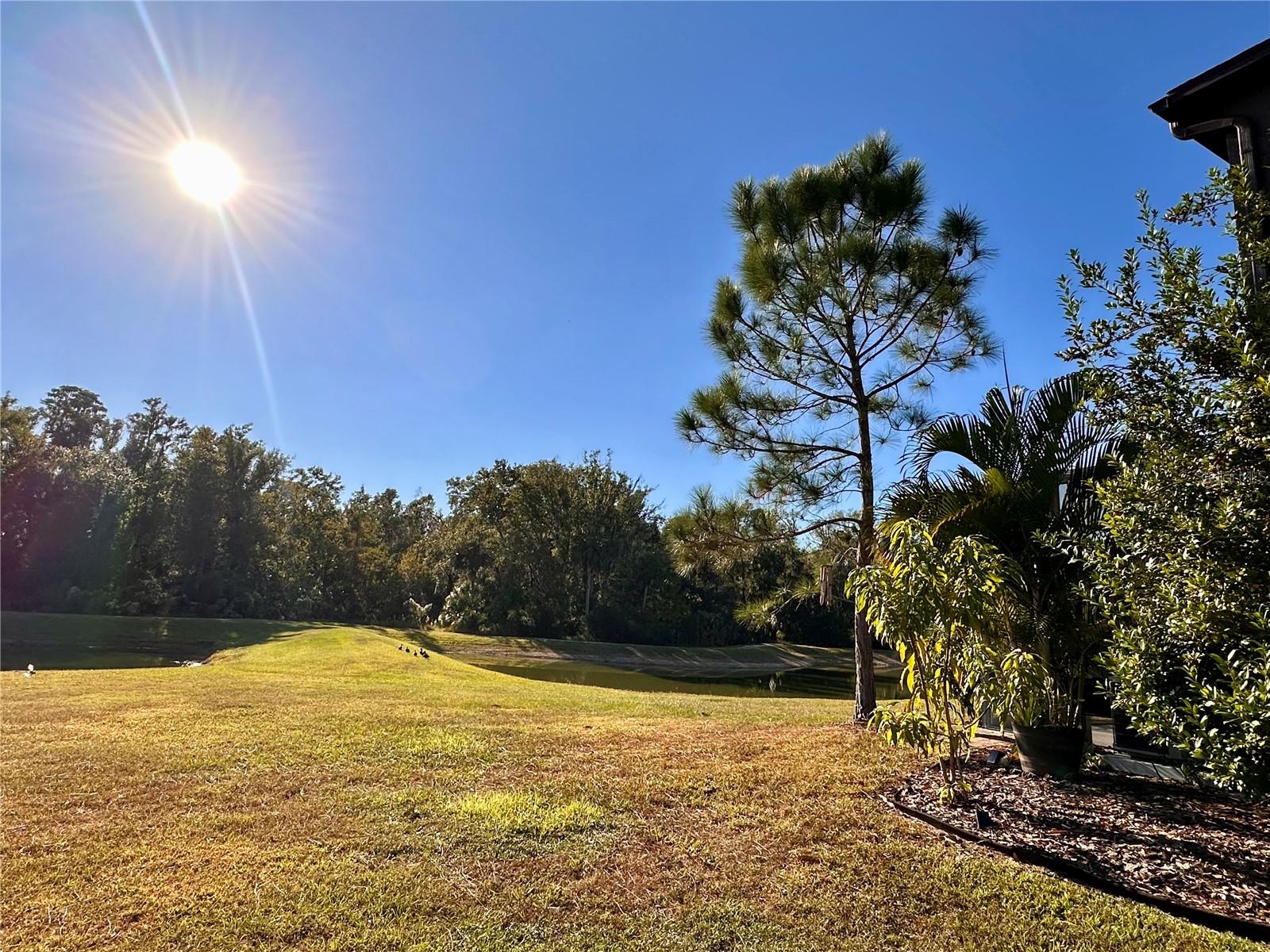 ARBORS/WIREGRASS RANCH - Residential