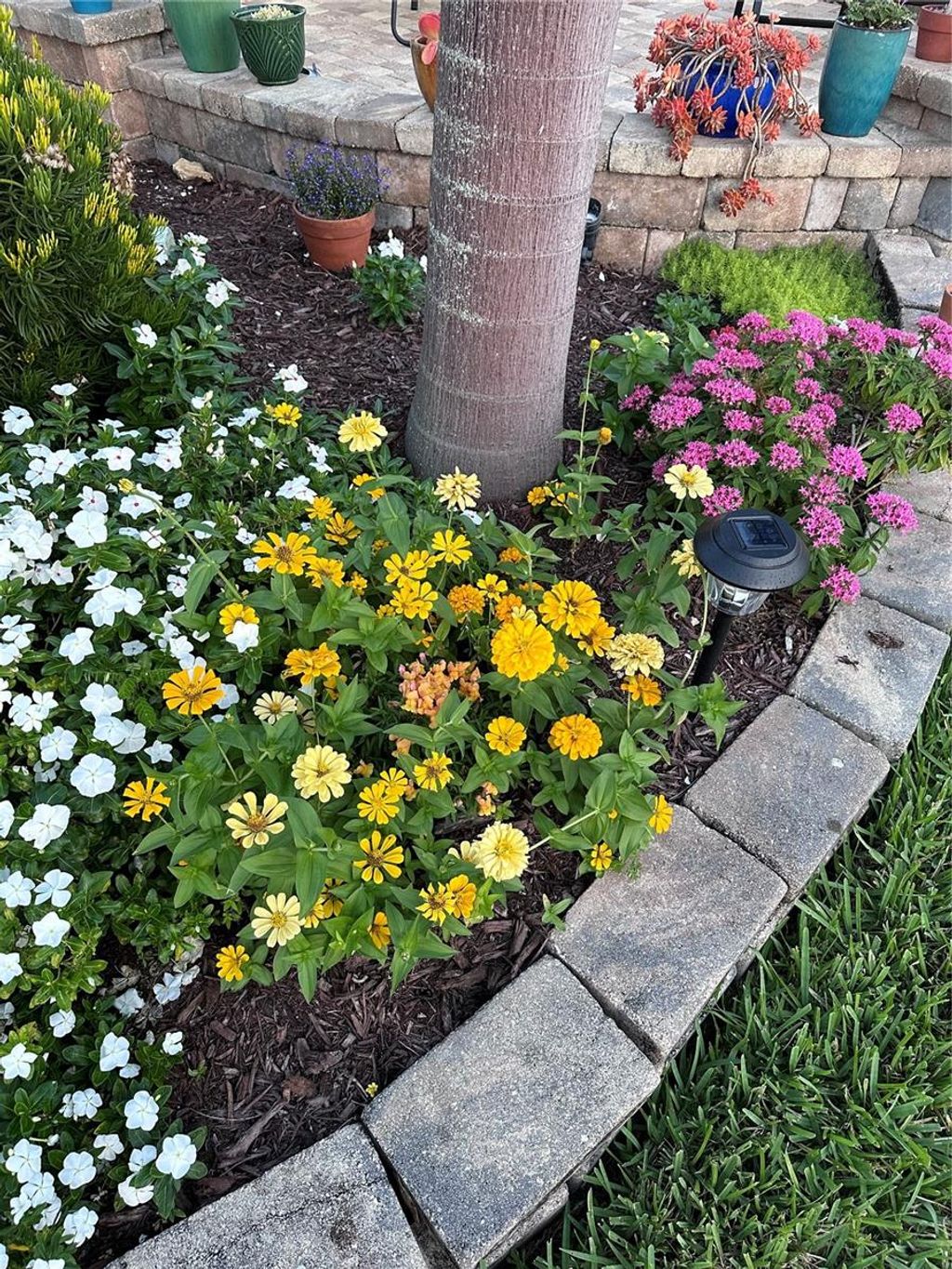 listing image 53