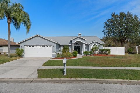 22921 STERLING MANOR LOOP LUTZ FL 33549