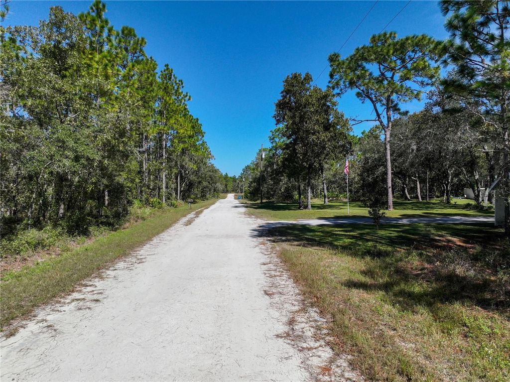 Photo of 7 Nuthatch Road, Weeki Wachee, FL 34614 (MLS # W7882334)