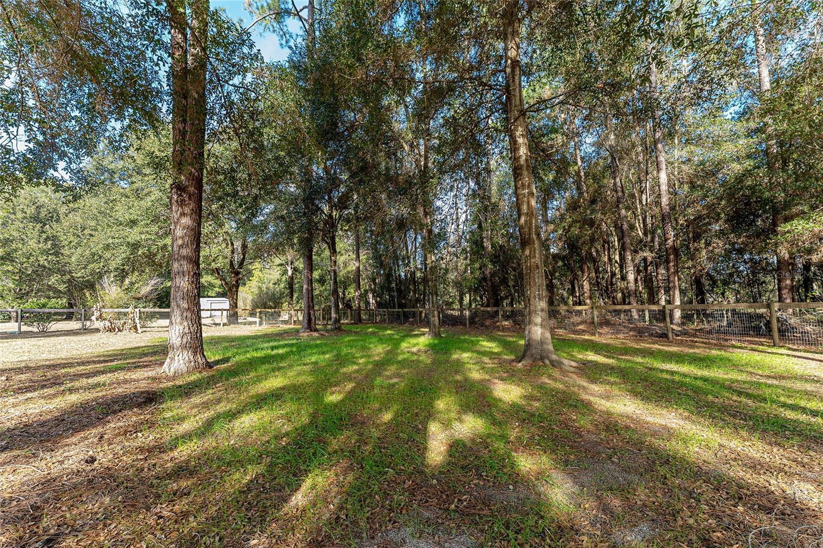 ALACHUA ESTATES - Residential