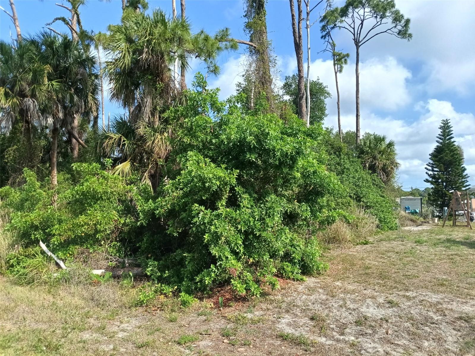 15082 COMMUNITY AVENUE