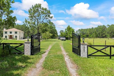1365 SHEDD LANE ORMOND BEACH FL 32174