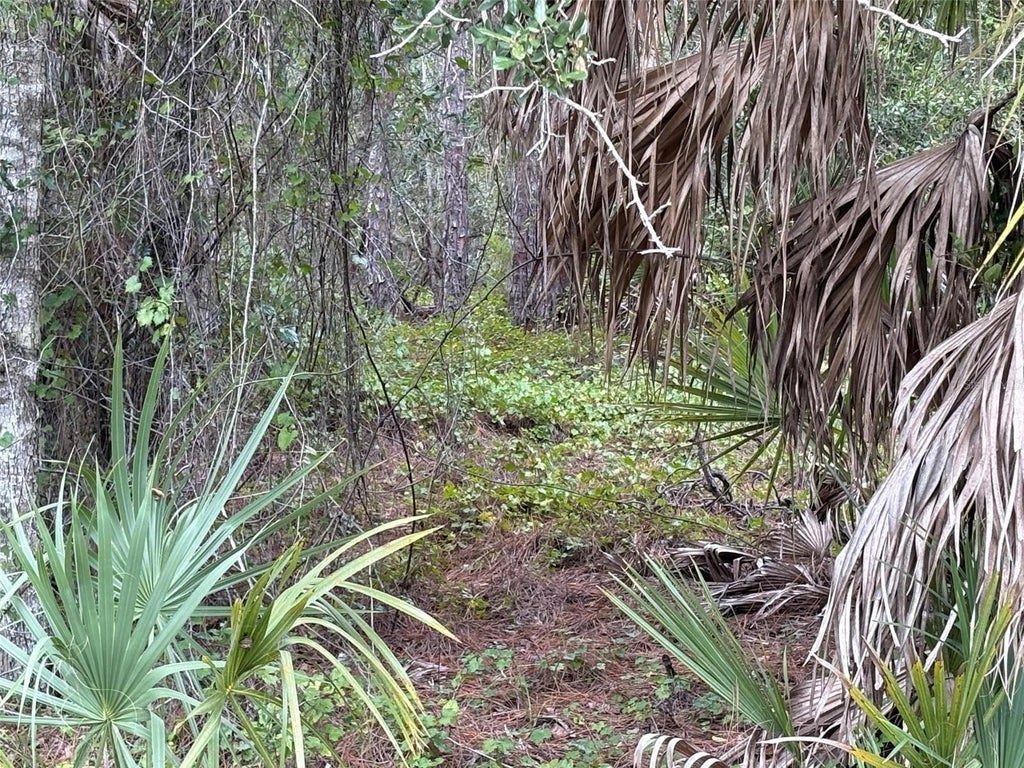 Photo of 14060 Dunlap Avenue, Port Charlotte, FL 33953 (MLS # C7531946)